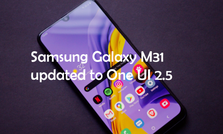 one ui 2.5 for m31s